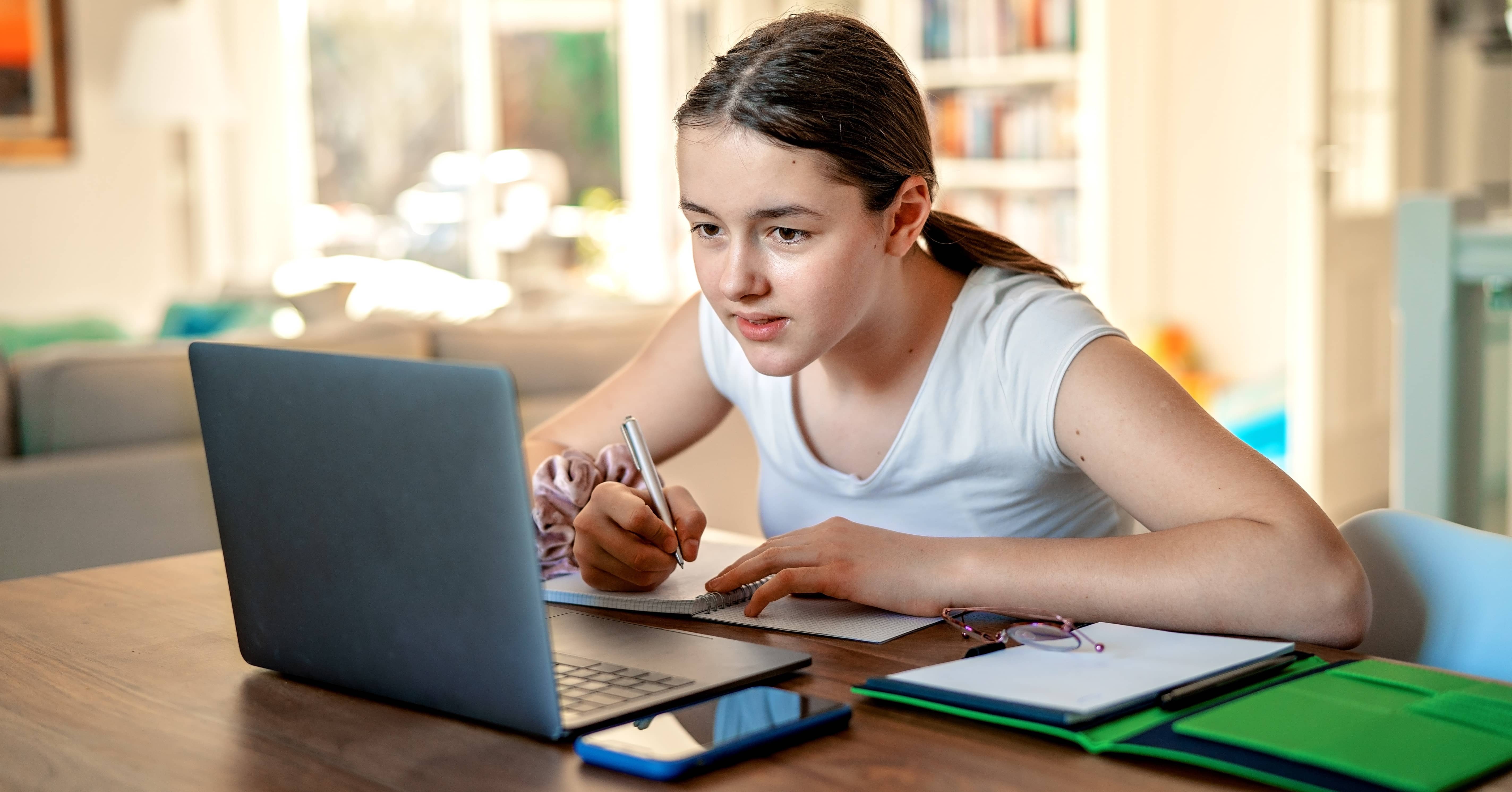 pupil premium lead